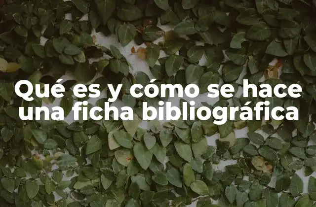 La importancia de organizar fuentes en el proceso investigativo