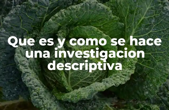 Que es y como Se Hace una Investigacion Descriptiva