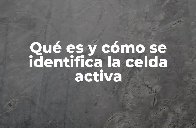 La importancia de la celda activa en la navegación