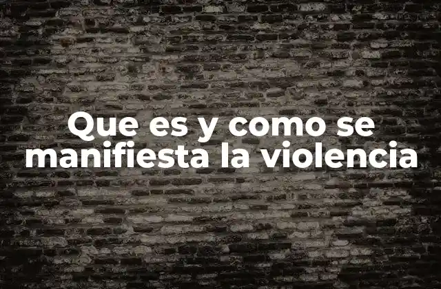 Que es y como Se Manifiesta la Violencia