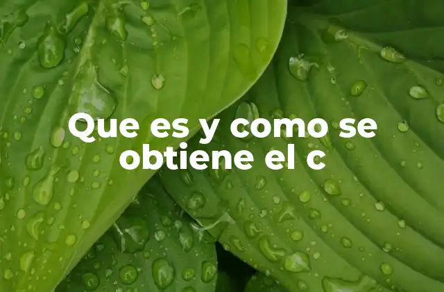 Que es y como Se Obtiene el C