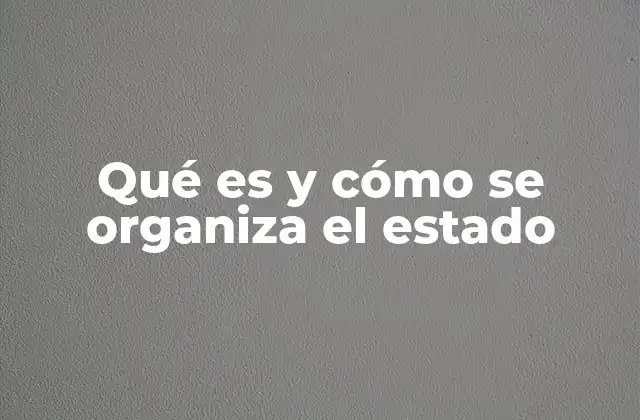 Qué es y Cómo Se Organiza el Estado