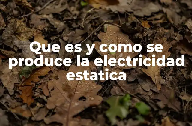 Que es y como Se Produce la Electricidad Estatica 2 Cómo se genera la electricidad estática sin mencionar directamente el término