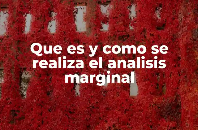 Que es y como Se Realiza el Analisis Marginal