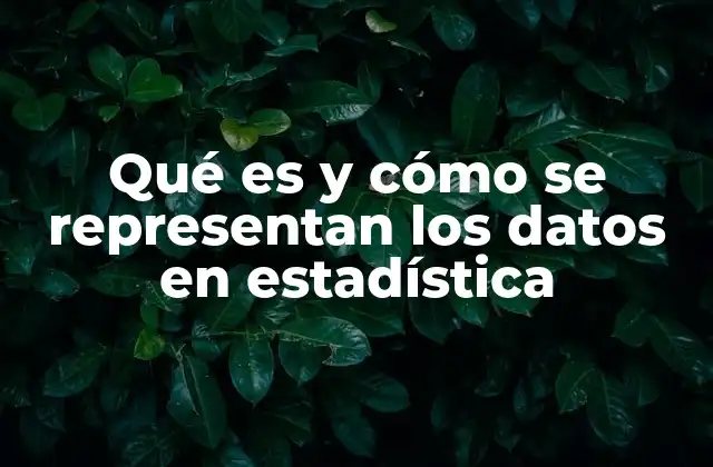 Qué es y Cómo Se Representan los Datos en Estadística