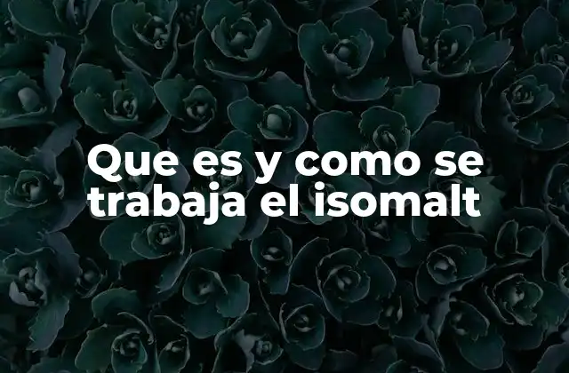 Que es y como Se Trabaja el Isomalt