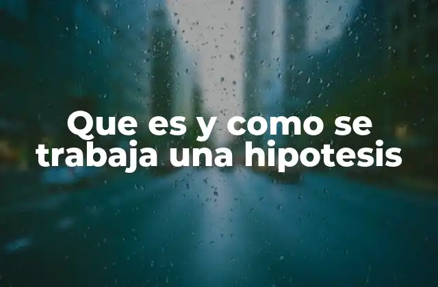 Que es y como Se Trabaja una Hipotesis