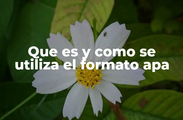 Que es y como Se Utiliza el Formato Apa