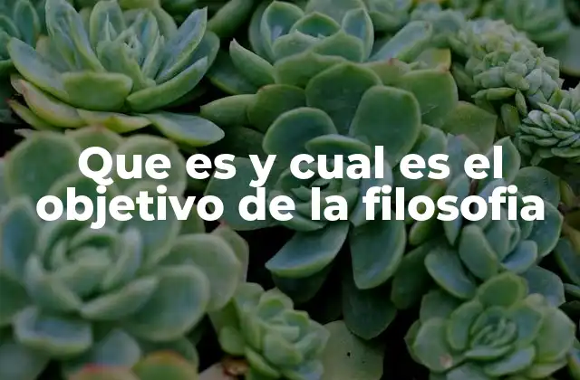 Que es y Cual es el Objetivo de la Filosofia