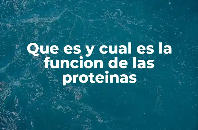 Que es y Cual es la Funcion de las Proteinas