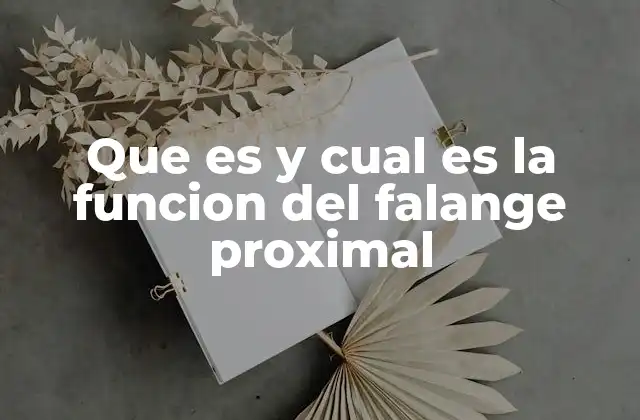 Estructura y ubicación anatómica del hueso falange proximal