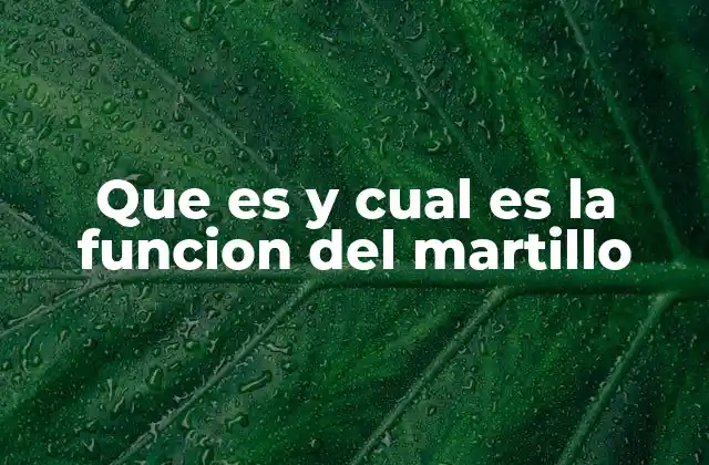 Que es y Cual es la Funcion Del Martillo
