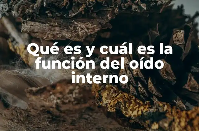 Qué es y Cuál es la Función Del Oído Interno
