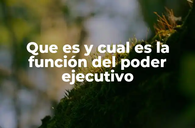Que es y Cual es la Función Del Poder Ejecutivo
