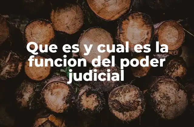 Que es y Cual es la Funcion Del Poder Judicial