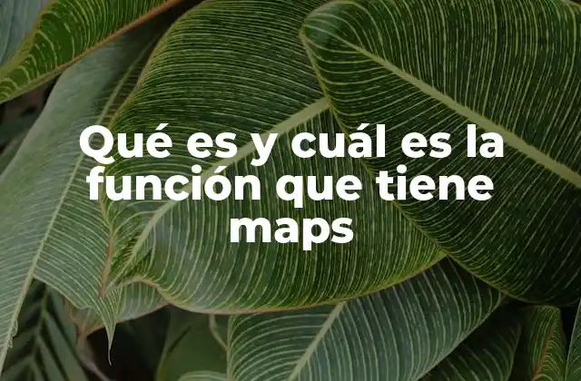 Qué es y Cuál es la Función que Tiene Maps 2 La importancia de las herramientas de geolocalización en la sociedad moderna