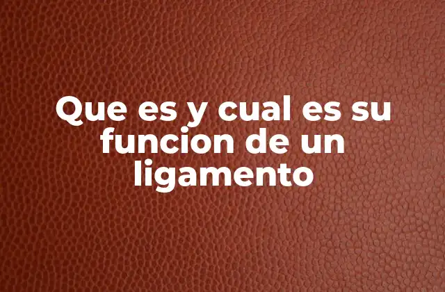 Que es y Cual es Su Funcion de un Ligamento