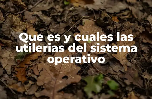 Que es y Cuales las Utilerias Del Sistema Operativo