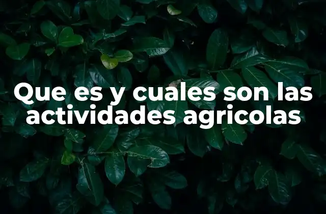 Que es y Cuales Son las Actividades Agricolas