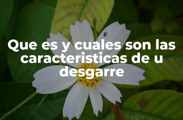 Que es y Cuales Son las Caracteristicas de u Desgarre