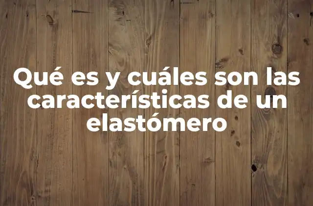 Qué es y Cuáles Son las Características de un Elastómero