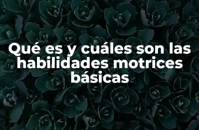 Qué es y Cuáles Son las Habilidades Motrices Básicas