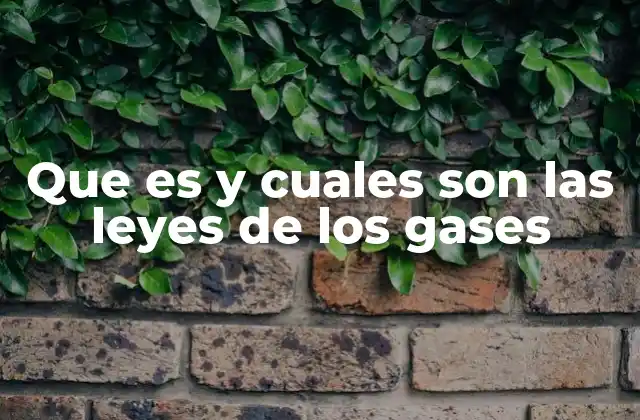 Que es y Cuales Son las Leyes de los Gases
