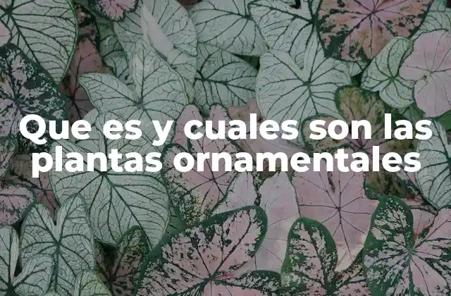 Que es y Cuales Son las Plantas Ornamentales