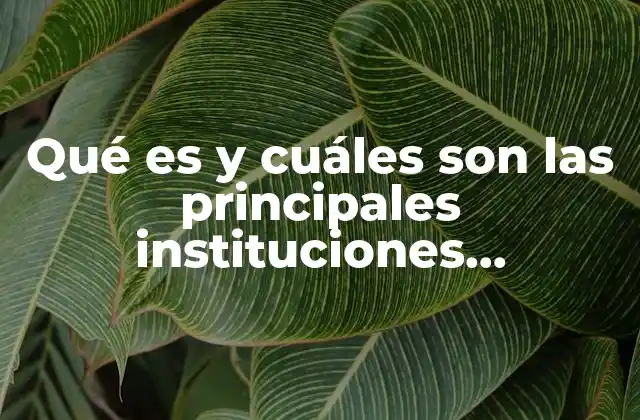 Qué es y Cuáles Son las Principales Instituciones Dedicadas a los Derechos Humanos