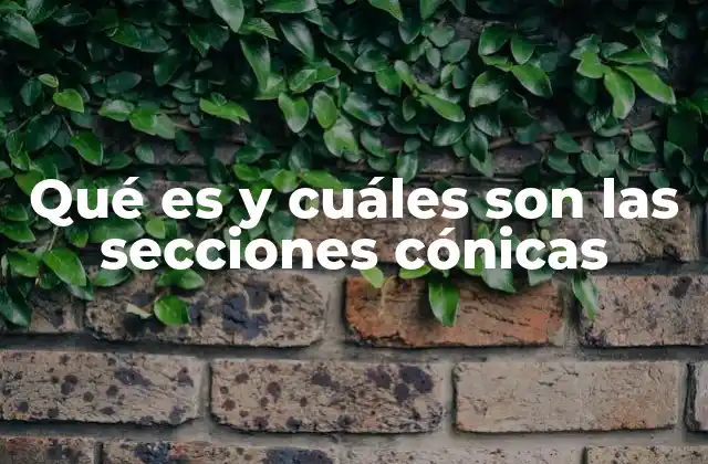 Qué es y Cuáles Son las Secciones Cónicas