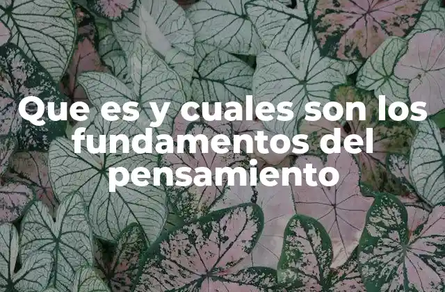 Que es y Cuales Son los Fundamentos Del Pensamiento