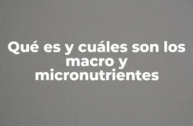 Qué es y Cuáles Son los Macro y Micronutrientes