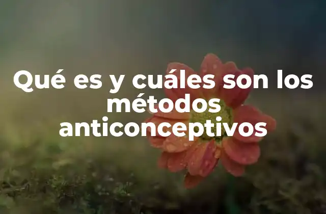 Qué es y Cuáles Son los Métodos Anticonceptivos