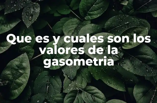 Que es y Cuales Son los Valores de la Gasometria