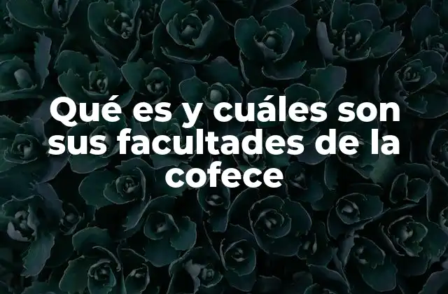 Qué es y Cuáles Son Sus Facultades de la Cofece