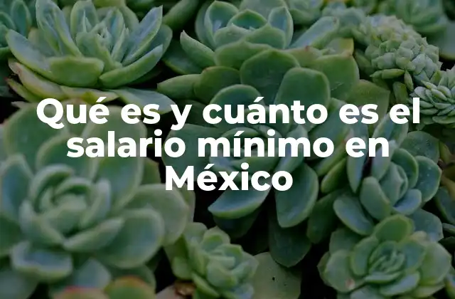 Qué es y Cuánto es el Salario Mínimo en México