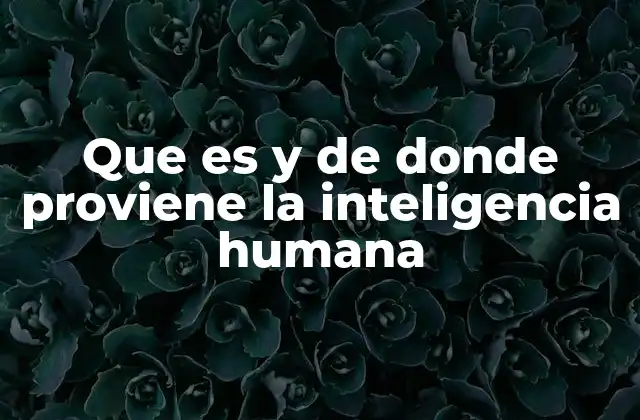 Que es y de Donde Proviene la Inteligencia Humana