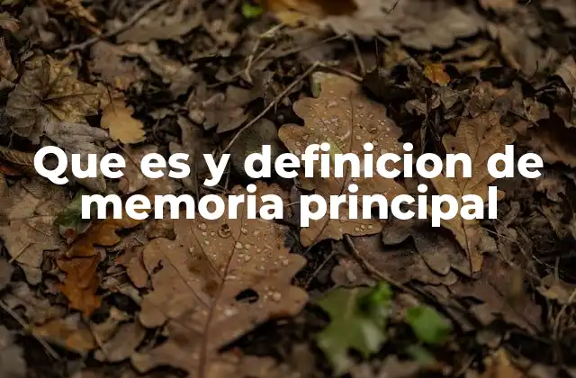 Que es y Definicion de Memoria Principal