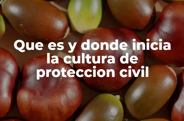 Cómo se forma una cultura de protección civil en la sociedad