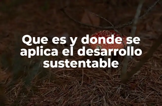 Que es y Donde Se Aplica el Desarrollo Sustentable