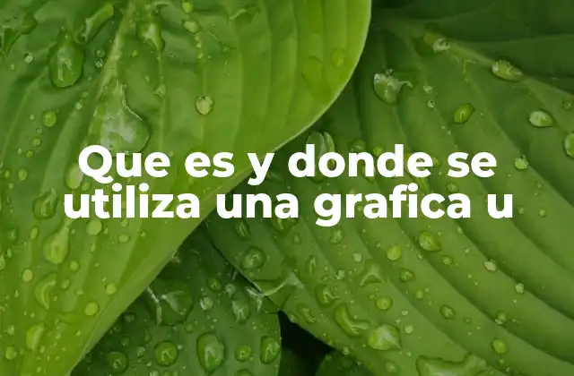Aplicaciones de las gráficas U en diferentes campos
