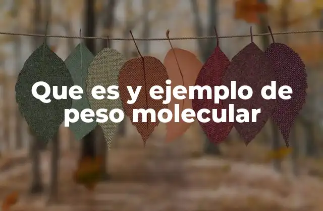 Que es y Ejemplo de Peso Molecular