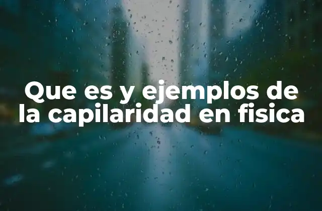 Que es y Ejemplos de la Capilaridad en Fisica