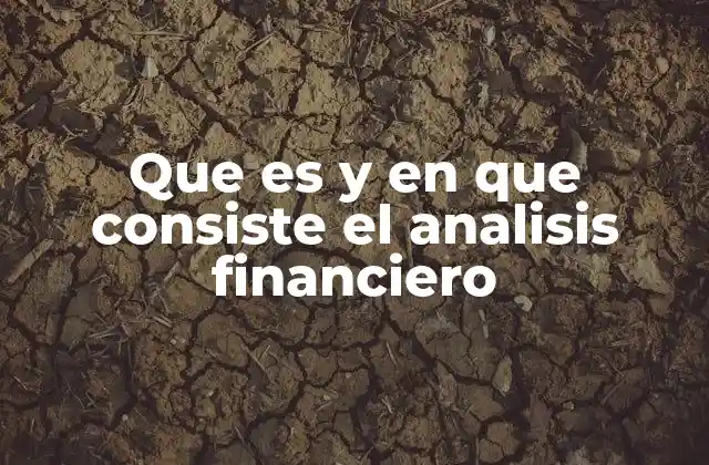 Cómo se aplica el análisis financiero en la toma de decisiones