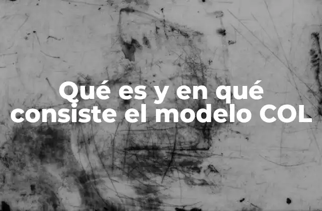 Qué es y en Qué Consiste el Modelo Col