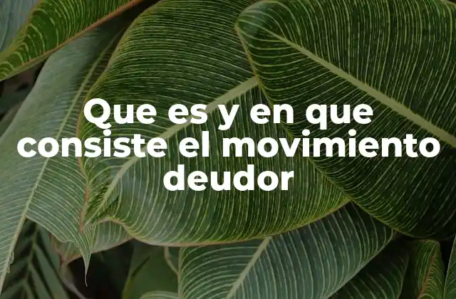 Que es y en que Consiste el Movimiento Deudor