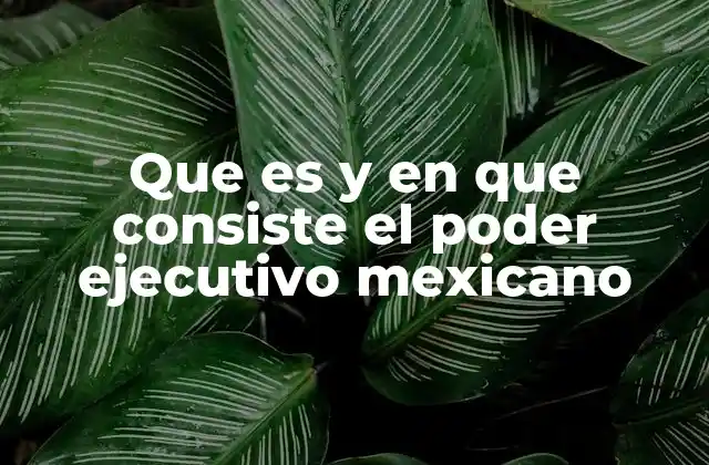 Que es y en que Consiste el Poder Ejecutivo Mexicano
