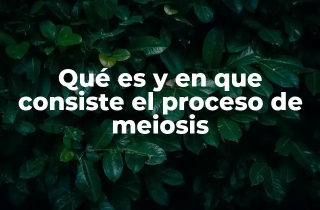 Qué es y en que Consiste el Proceso de Meiosis