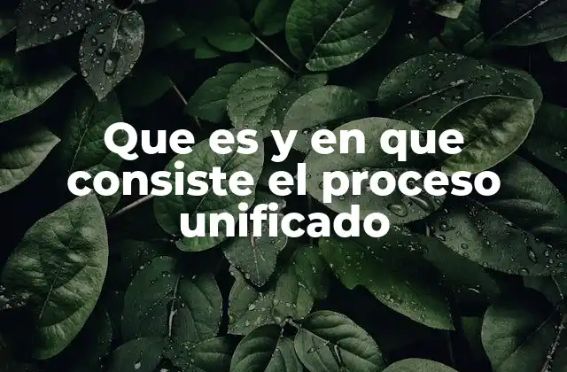 Que es y en que Consiste el Proceso Unificado