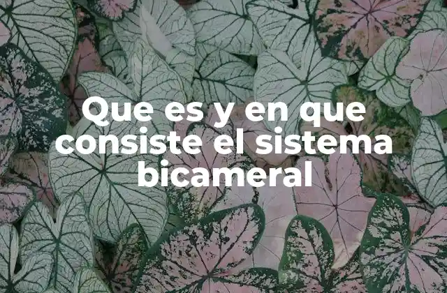 Que es y en que Consiste el Sistema Bicameral